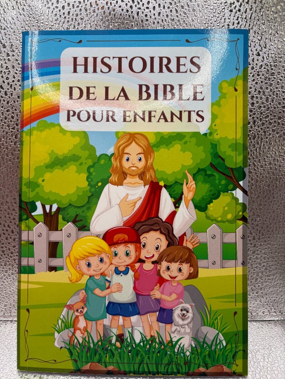FRENCH Illustrated Children's Bible: Histoires de la Bible pour enfants